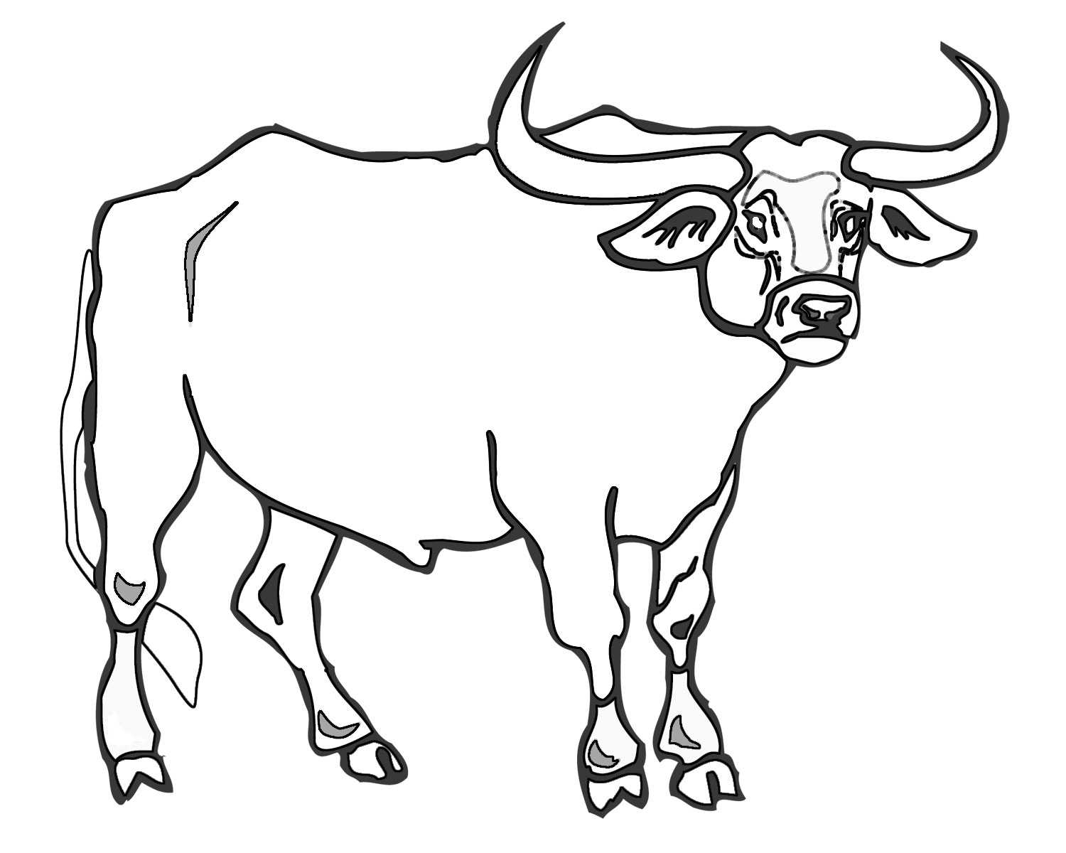 CCG Colouring In Bull