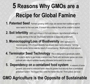 GMO- global famine